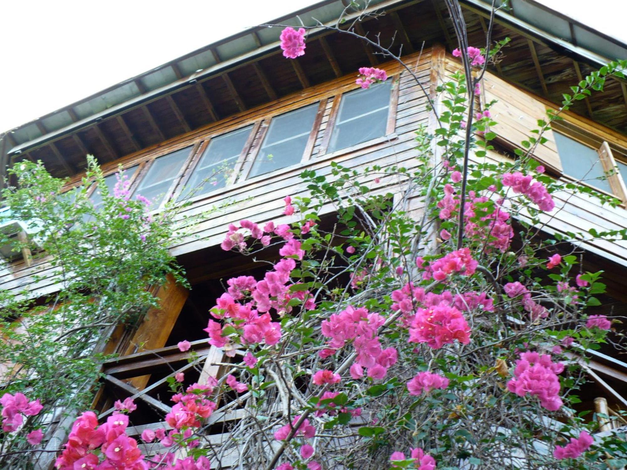 Roatan Bed & Breakfast Apartments West End Exterior photo